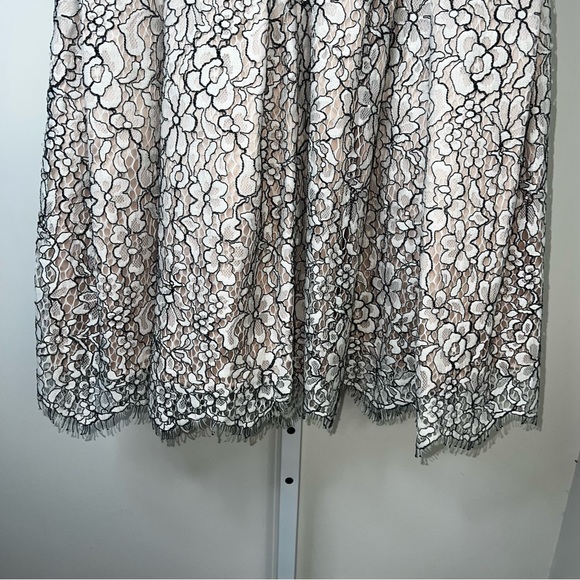 Eliza J Cream & Black Lace Cocktail Dress with Pockets Size 4 - Picture 7 of 15